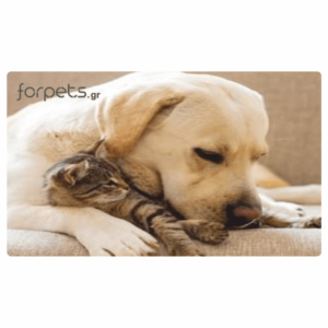 Εκτύπωση μαγνητακια