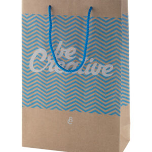 custom made paper shopping bag, medium